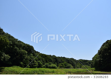 Rural scenery of Chigasaki early summer Rural scenery of Chigasaki early summer 31686283