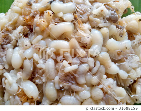 Ants egg on banana leaf. Thailand local food. Ants egg on banana leaf. Thailand local food. 31688159