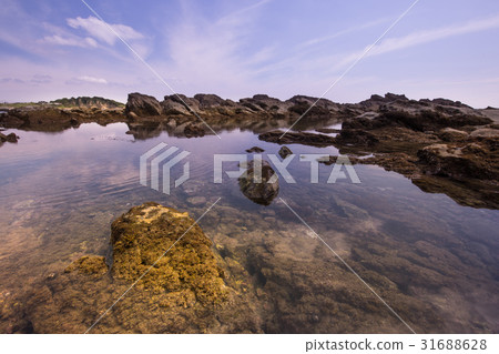 葉山海邊水彩 葉山海邊水彩 31688628