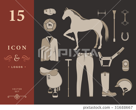 Vector set of icons polo Vector set of icons polo 31688667