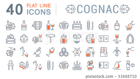 Set Vector Flat Line Icons Cognac Set Vector Flat Line Icons Cognac 31688710