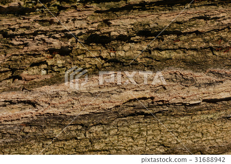 Seamless Tileable Texture Seamless Tileable Texture 31688942