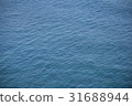 海面 31688944
