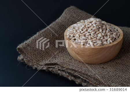 pearls barley grain seed on background. 31689014