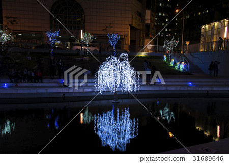 Waterfront night view 31689646