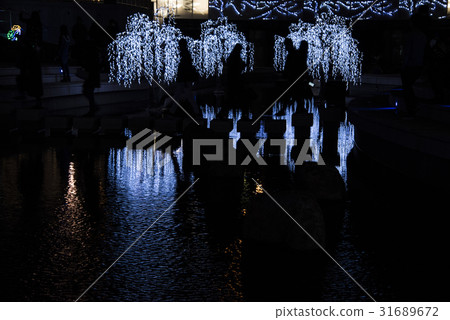 水岸夜景 水岸夜景 31689672