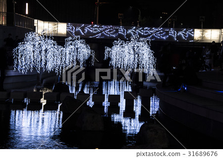 水岸夜景 水岸夜景 31689676