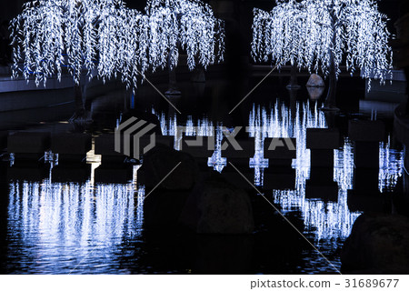 水岸夜景 水岸夜景 31689677