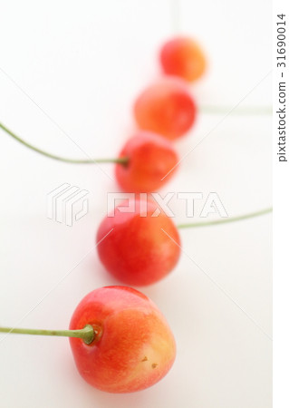 Cherry 31690014