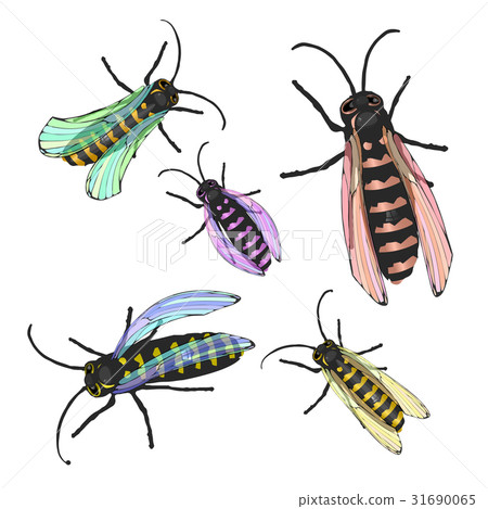 Bees multicolored with transparent wings 31690065