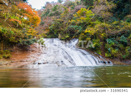 Yogoro Valley (Awamata Falls) Autumn Yogoro Valley (Awamata Falls) Autumn 31690341
