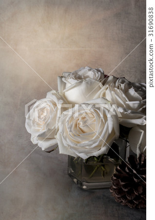 rose flowers close up on background. . rose flowers close up on background. . 31690838