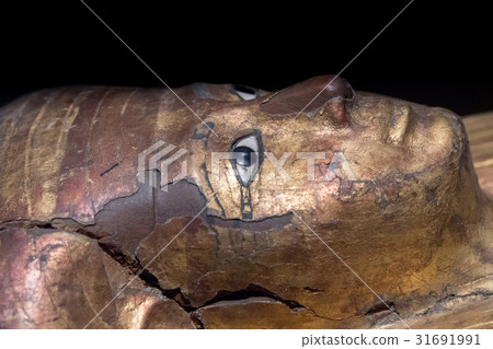 egyptian queen sarcophagus detail close up 31691991