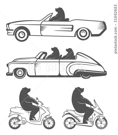 Vintage Illustration of Bear Vintage Illustration of Bear 31692683
