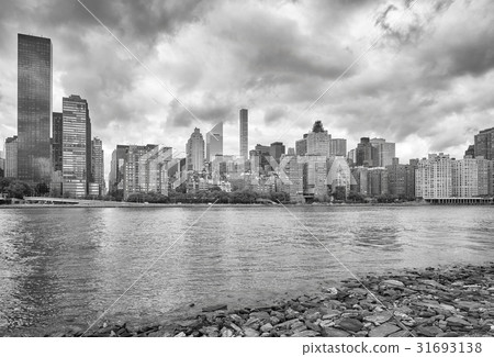 Manhattan skyline seen from Roosevelt Island, NYC. Manhattan skyline seen from Roosevelt Island, NYC. 31693138