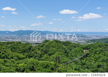 Suspension bridge Suspension bridge 31693828