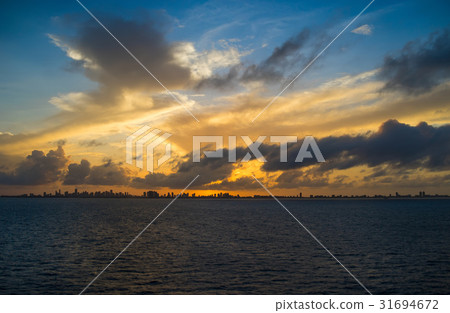View of Miami at sunset from the sea 31694672