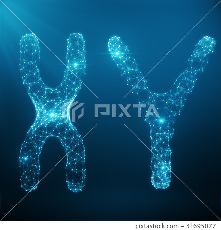XY-Chromosome Concept for Human Biology Medical 31695077