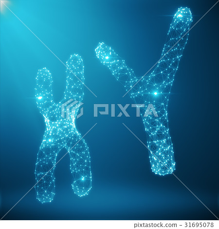 XY-Chromosome Concept for Human Biology Medical 31695078
