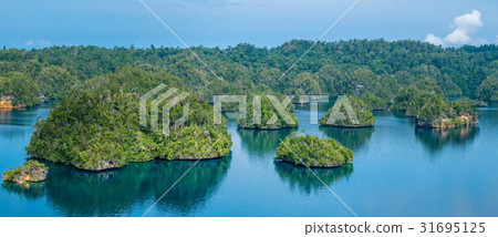 Many Rocks covered by Palmtrees in Passage between Many Rocks covered by Palmtrees in Passage between 31695125
