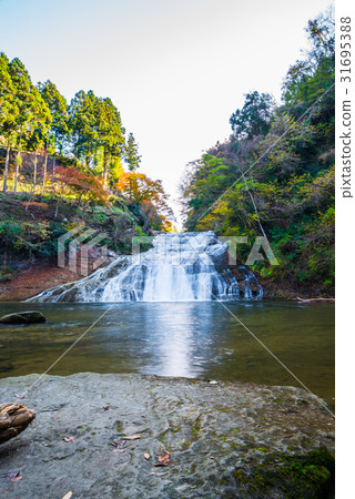 Yogoro Valley(Awamata Falls)秋天 Yogoro Valley(Awamata Falls)秋天 31695388
