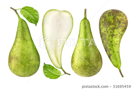 Green conference pears isolated on white Green conference pears isolated on white 31695459