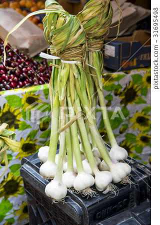 Fresh Green Garlic Fresh Green Garlic 31695498