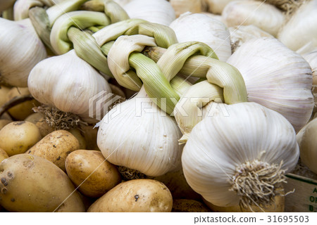 Fresh Green Garlic Fresh Green Garlic 31695503