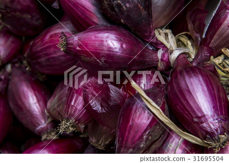 Red Onion Red Onion 31695504