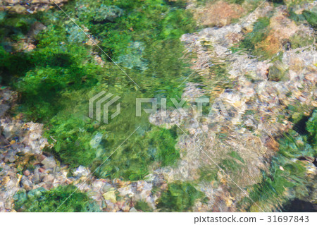 Tottori ken Honshu（Honkoun）噴泉 31697843