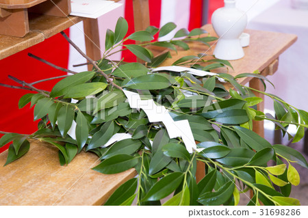 Ground Festival 31698286