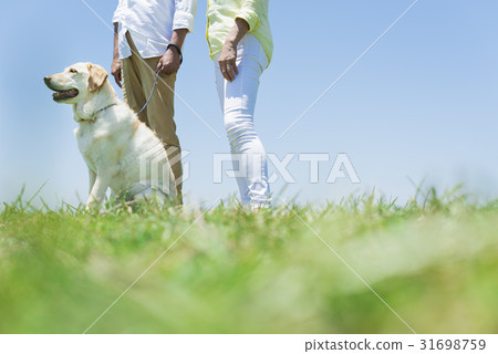 Senior couple and dog grassland and blue sky 31698759