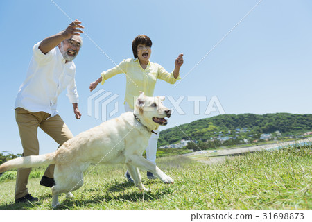 Senior couple and dogs run 31698873