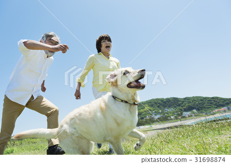 Senior couple and dogs run Senior couple and dogs run 31698874