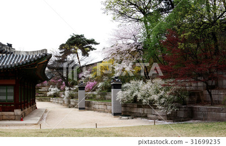 Changgyeonggung, Jongno-gu, Seoul Changgyeonggung, Jongno-gu, Seoul 31699235