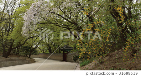 Changdeok Palace, Jongno-gu, Seoul 31699519