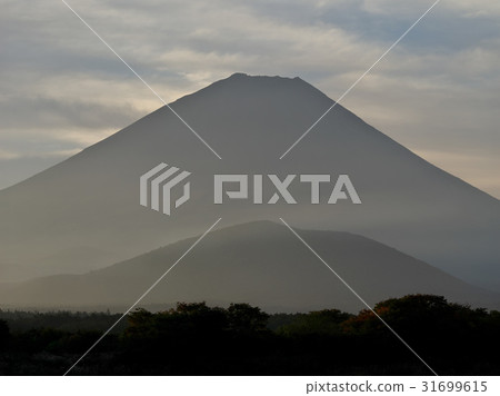 Morning Fuji of Lake Shoin 31699615