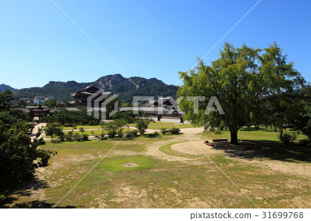 Gyeongbokgung Palace, Jongno-gu, Seoul 31699768