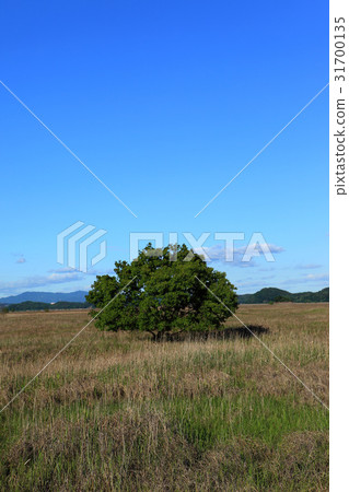 Wooshin-do, Hwaseong-si, Gyeonggi-do 31700135