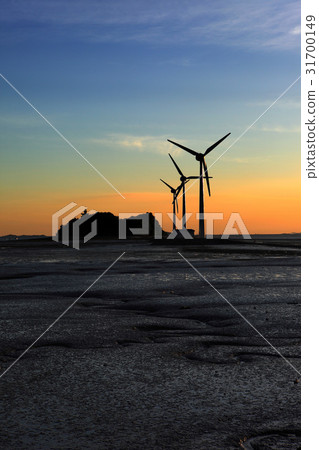 渦輪,Nuey島,Daebu島,安山市,京畿道 渦輪,Nuey島,Daebu島,安山市,京畿道 31700149