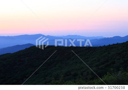 Mt. Hambae, Jungsun-gun, Gangwon-do 31700238