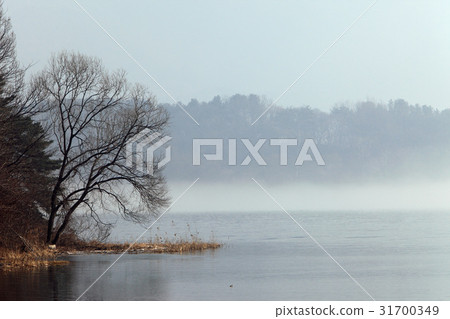 Yangsuri，Namyangju，京畿道 31700349