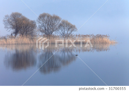 Yangpuri，Yangpyeong-gun，Gyeonggi-do 31700355