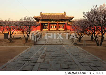 首爾鐘路區昌慶宮的Myunggungmun（寶藏385） 31700411