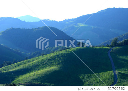 Unsan，Seosan，Chungnam 31700562