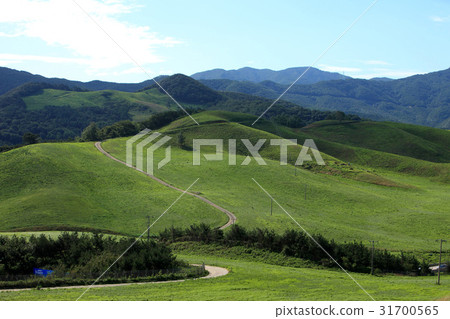 Unsan, Seosan, Chungnam Unsan, Seosan, Chungnam 31700565