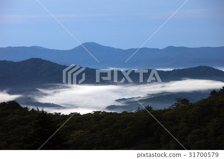 Gangneung, Gangwon-do 31700579