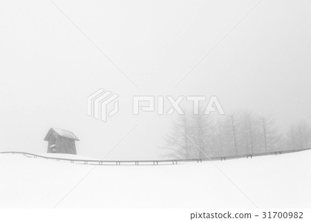 綿羊牧場，Daegwallyeong，平昌郡，江原道 31700982