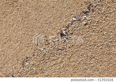 sand 31701028