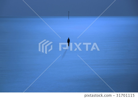 Hong Yeon Woo, Sea 31701115